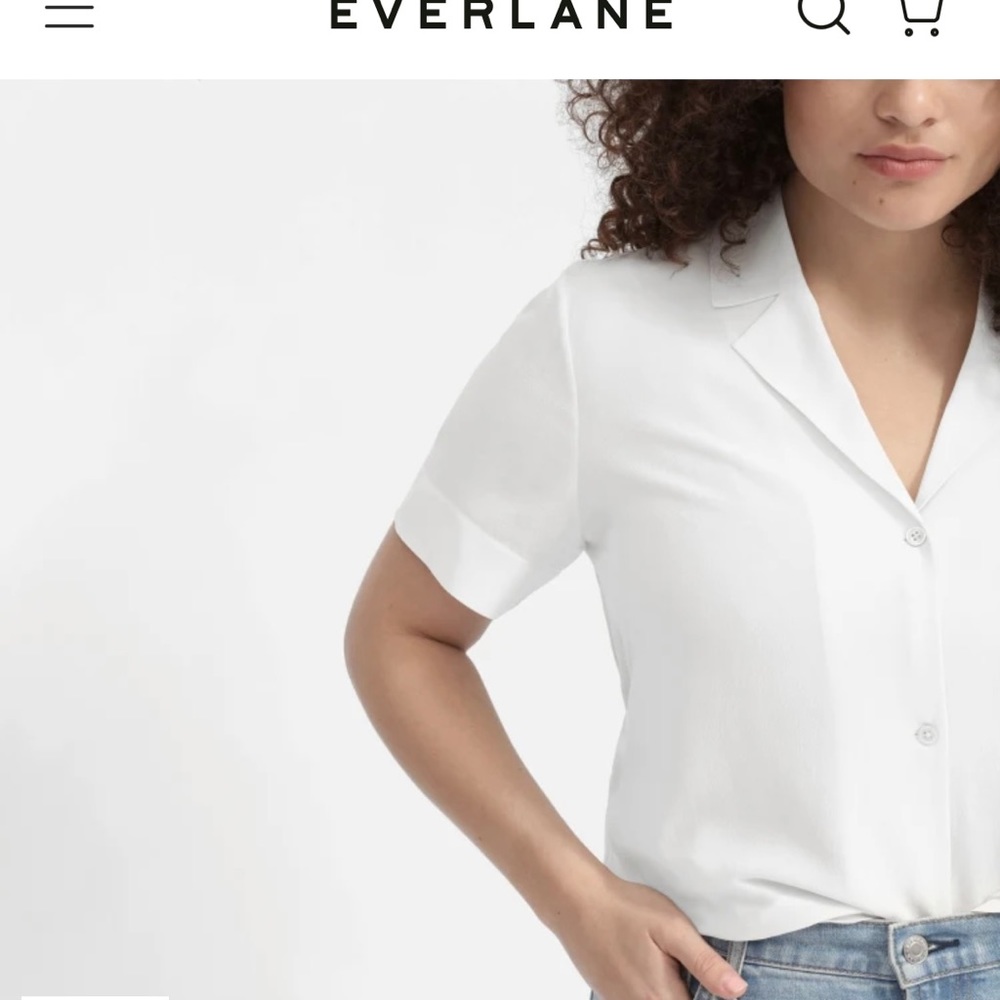 Everlane clean silk notch silk button up shirt